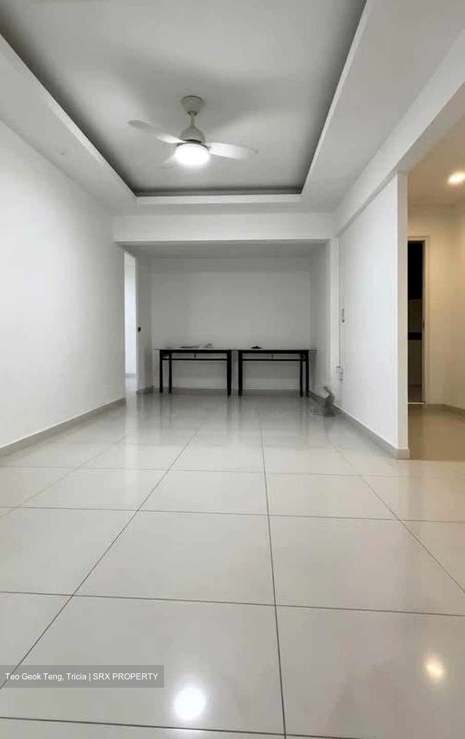 Spottiswoode Park (D2), Apartment #557691881